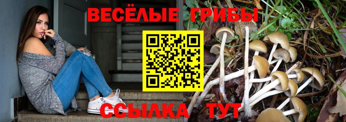 Псилоцибиновые грибы MAGIC MUSHROOMS Аксай