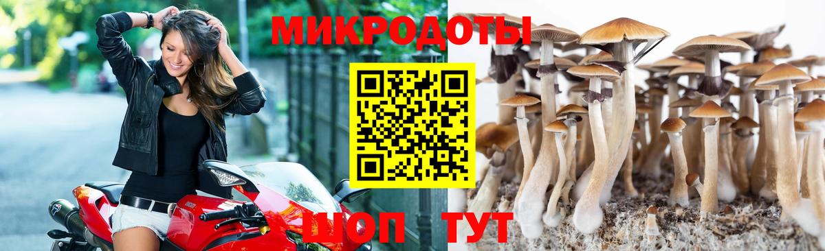 наркошоп  Вход с VPN  Аксай  Псилоцибиновые грибы MAGIC MUSHROOMS 